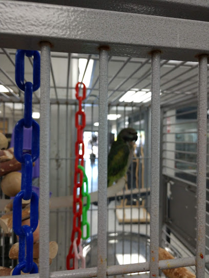 Our Feathered Friends