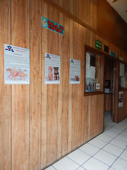 Hospital Veterinario Villa