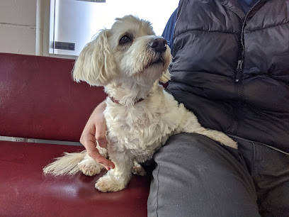 San Carlos Animal Hospital