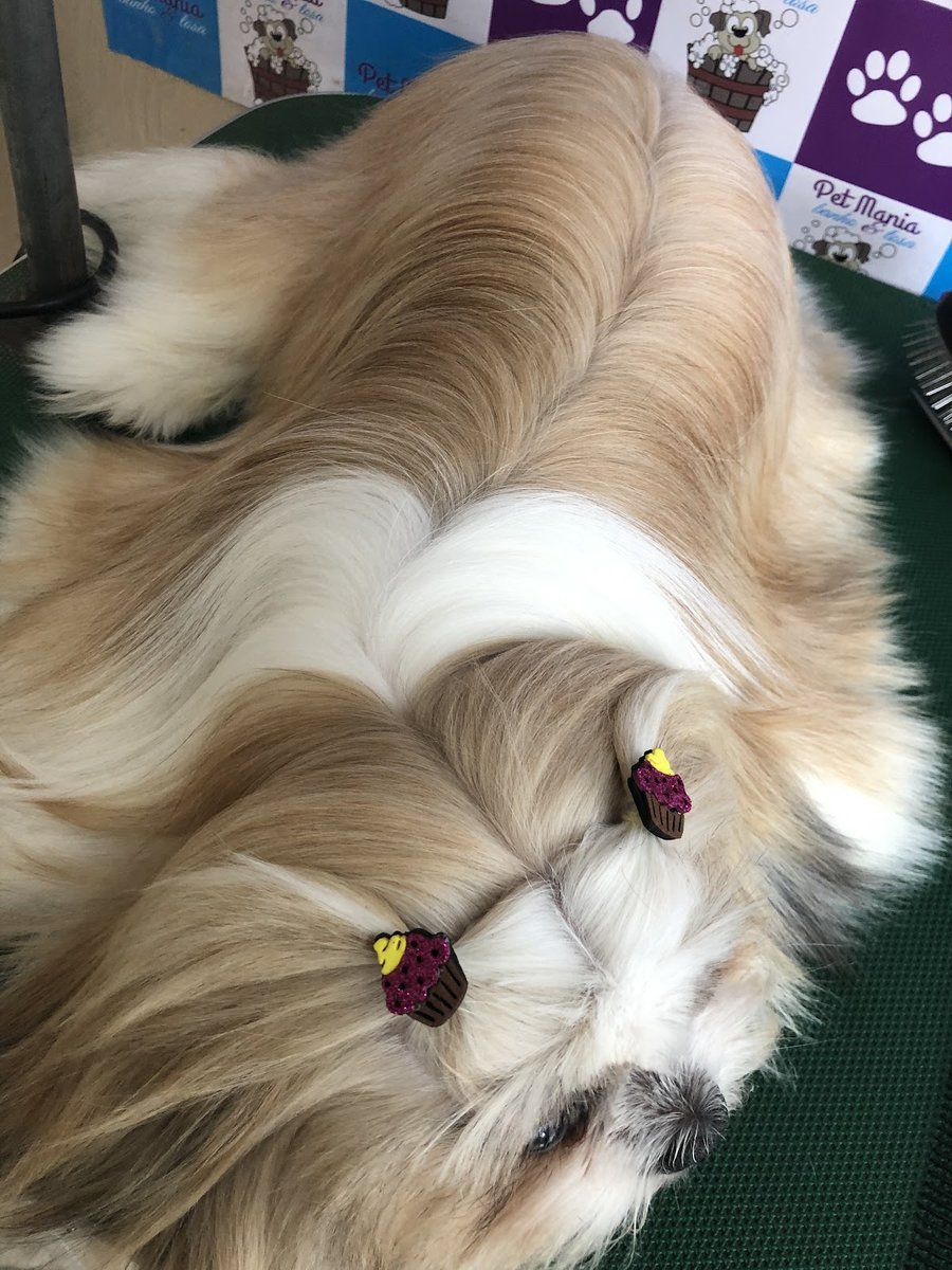 Pet Mania Banho & Tosa