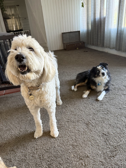 The Dog Lodge Daycare and Boarding