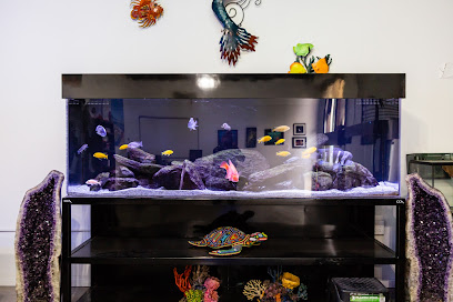 California Custom Aquariums