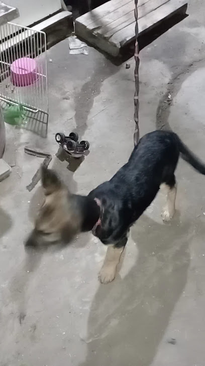 Unidad Especializada Integral K9