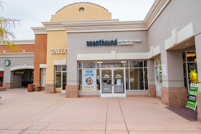 Scenthound Carmel Valley