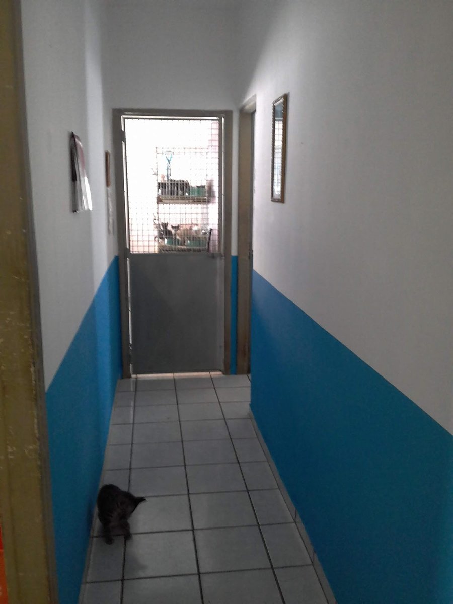 ASF Arca de São Francisco