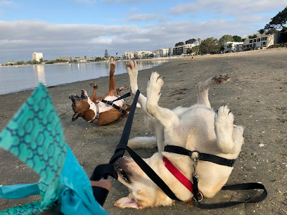 PB Dog Boarding & Training