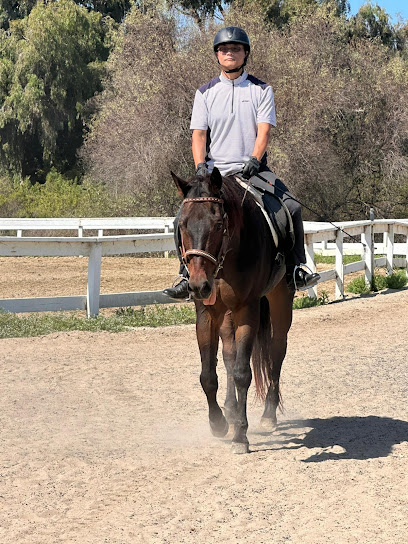 Rancho El Camino Equestrian Horse Boarding and Lessons
