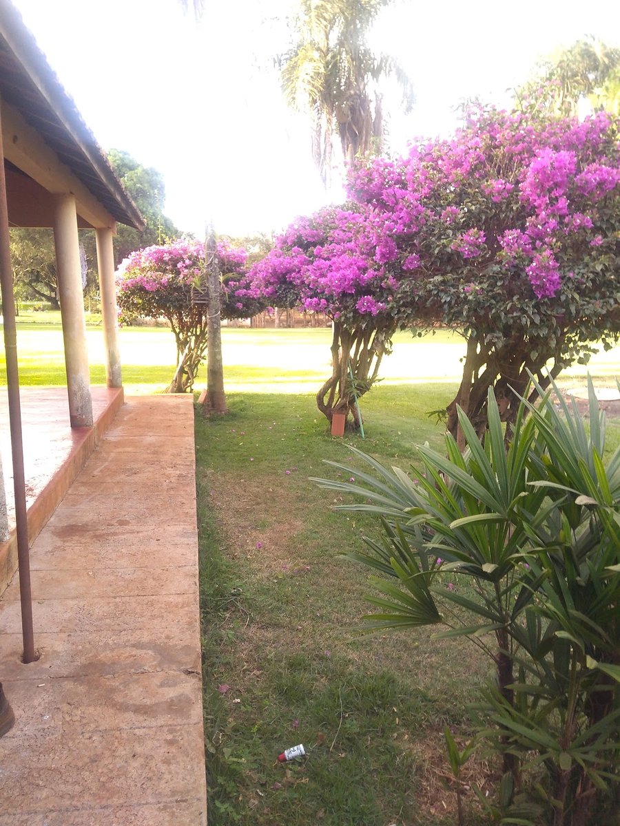 Agropecuária Nova Galia