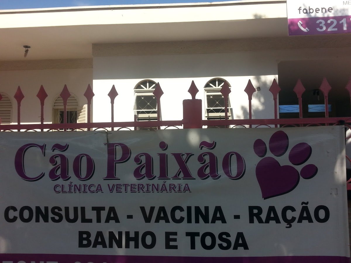Cão Paixão Clinica Veterinária