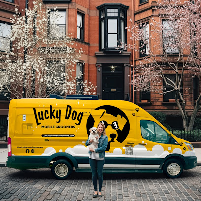 Lucky Dog Mobile Groomers - Dallas, TX
