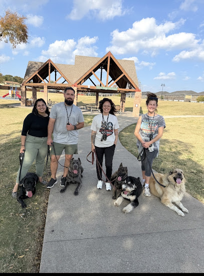 K9 Konnection Dog Training