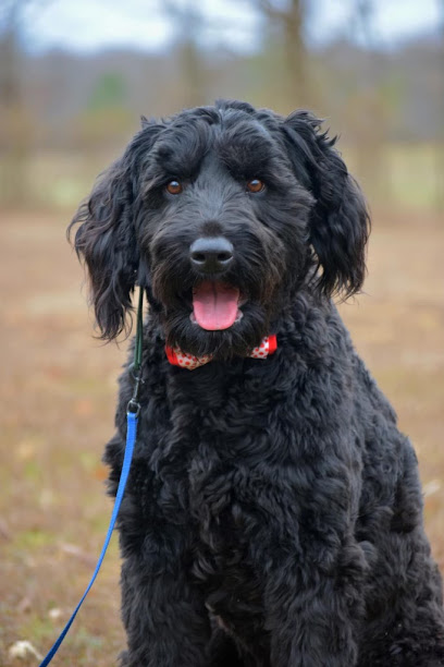 Consistent Canine Texas