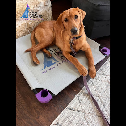 The Dog Wizard Rockwall