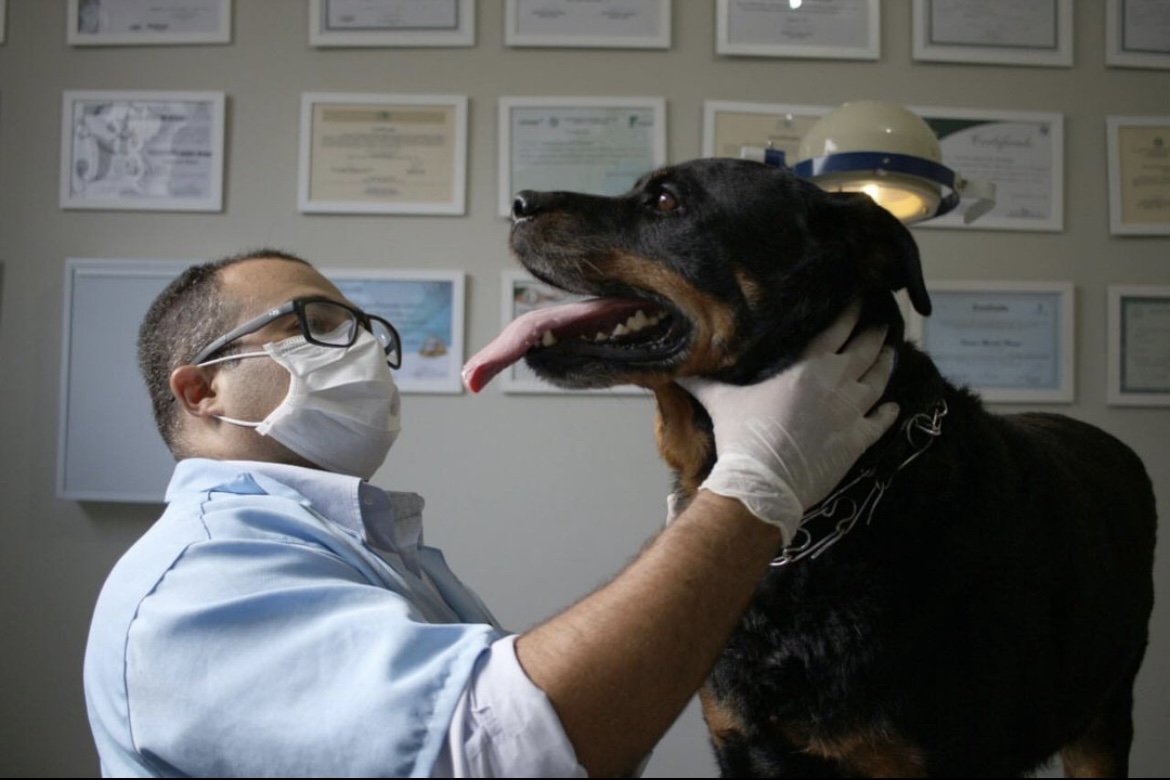 NikoAgro Assistência Veterinária