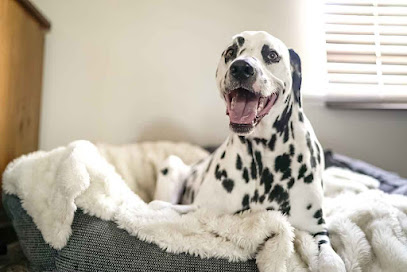 Martha's Pet Sitting