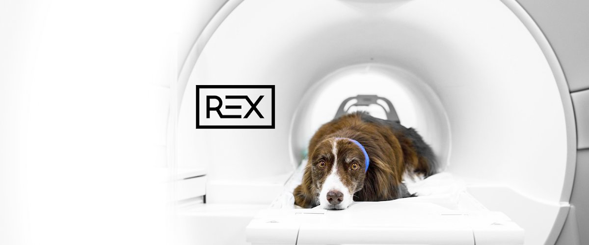 ReX | Radiodiagnóstico Veterinário Móvel