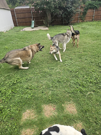 DOGGONIT Day Care & Boarding LLC