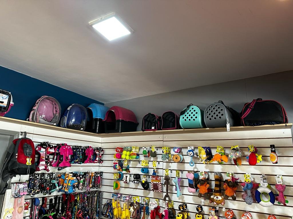 Pet Shop Billy e Bella