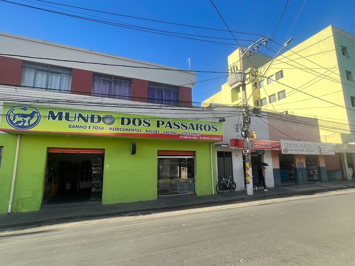 Mundo dos Pássaros