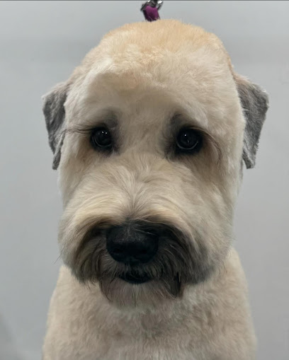 White Rock Pet Grooming