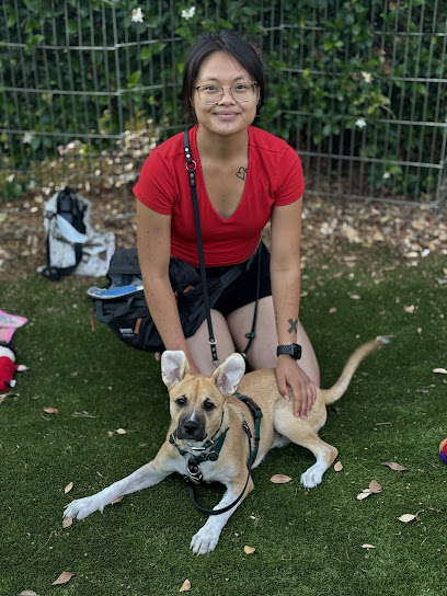 Jana Suico Dog and Cat Training