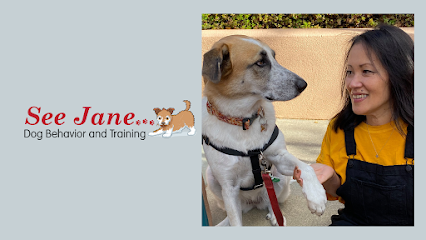 See Jane Dog Behavior and Training