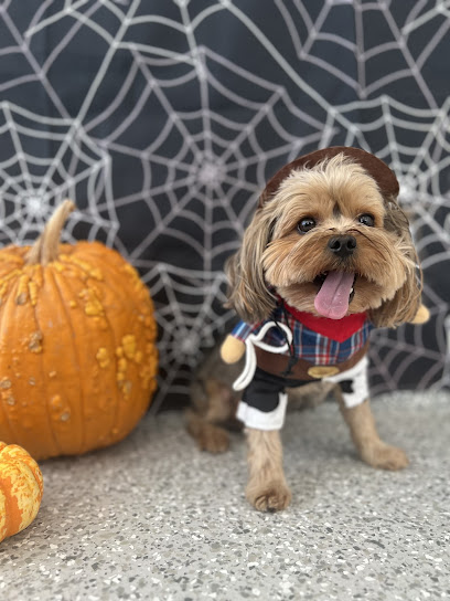 Gizmo’s Doggie Daycare