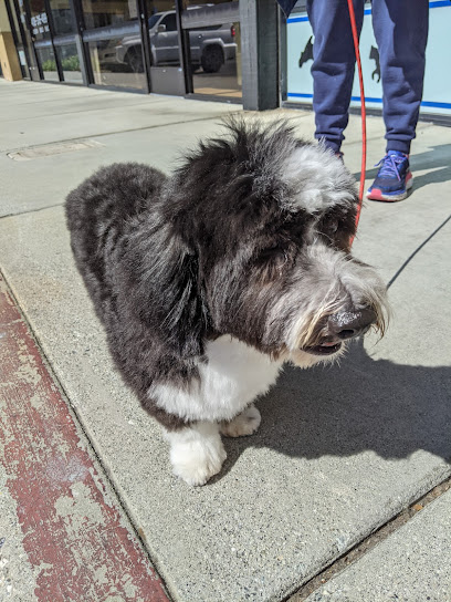 Almaden Pet Salon