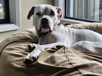 Loved By Us Santa Cruz Pet Sitting & Dog Walking, LLC