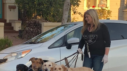 PRECIOUS PAWS DOG WALKING and BOARDING