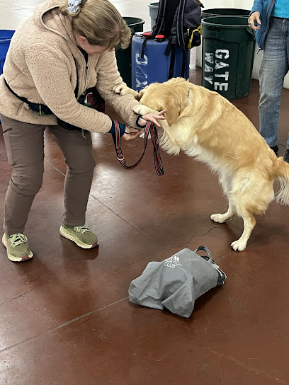Santa Clara Dog Training Club