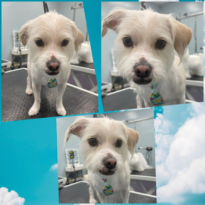 Dang Diggity Dog & Pet Grooming San Jose - Organic Pet Salon