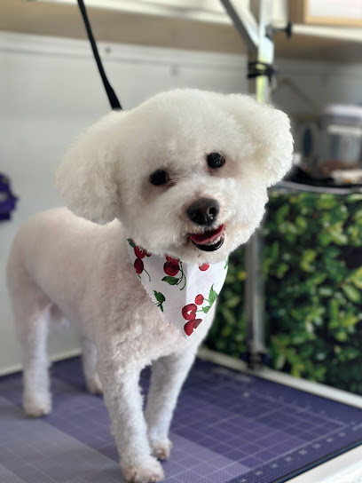 Mitzys Spa Para Mascotas