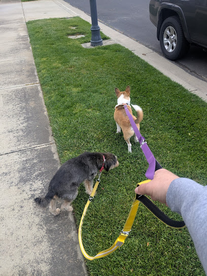 LUKAS K9 Tri-Valley Dog Sitting