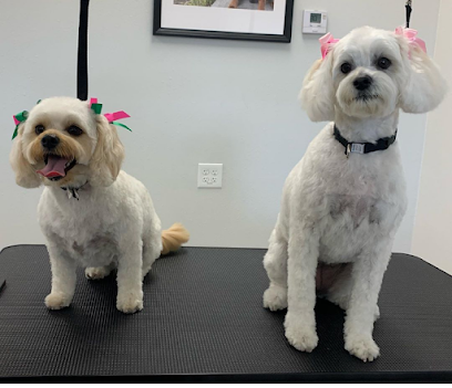 Olly’s Dog Grooming