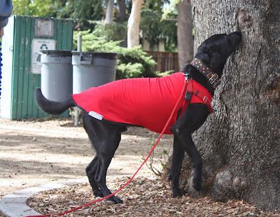 Palo Alto Dog Training, LLC