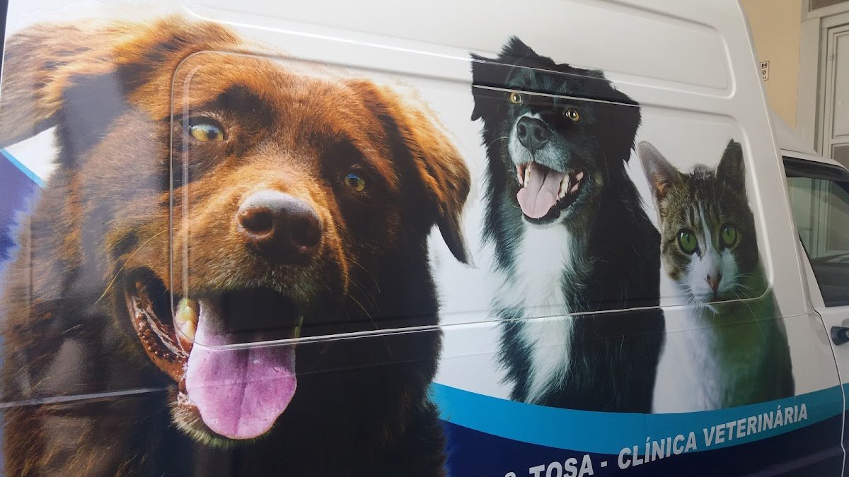 Banho e Tosa Rancho Animal