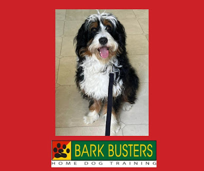 Bark Busters Home Dog Training Santa Clara County West