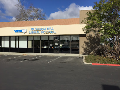 VCA Blossom Hill Animal Hospital