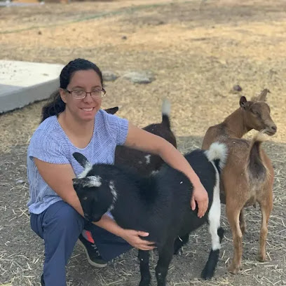 Rachel Ramos Pet Sitting