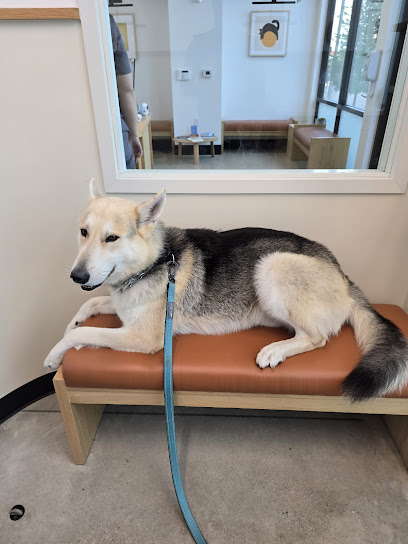 Modern Animal Mueller