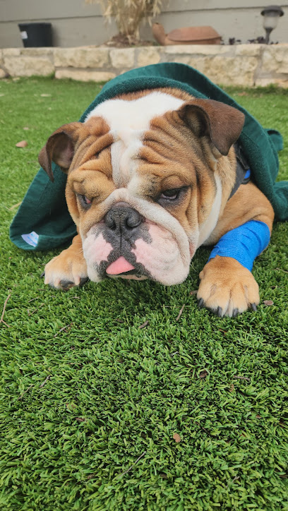 Mobile Veterinary Specialist