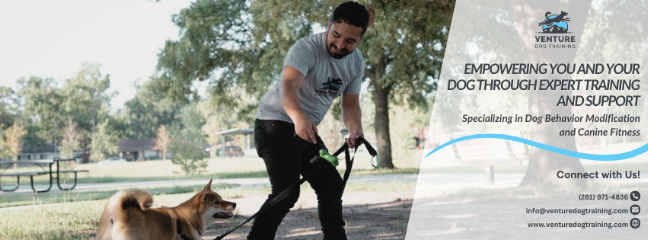 Venture Dog Training Austin