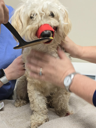 Tech Ridge Pet Hospital