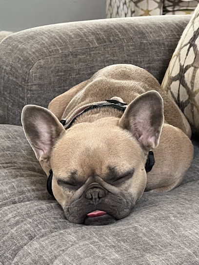 Lake Travis Animal Hospital