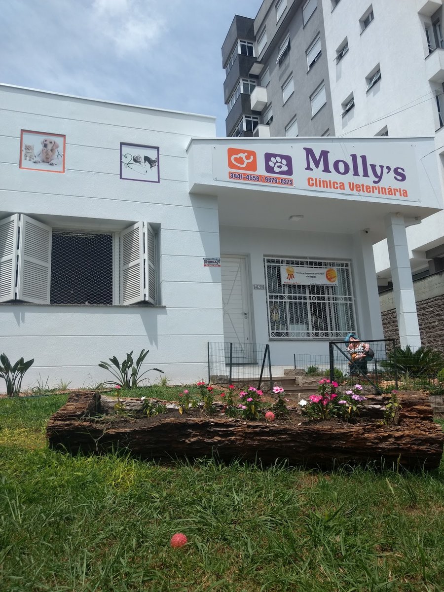 Mollys Clínica Veterinária
