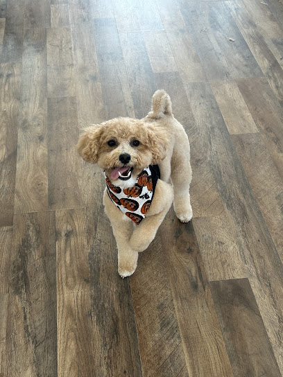 Groovy Grooms Pet Spa