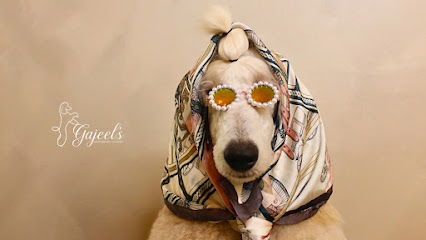 Gajeel’s Grooming Studio