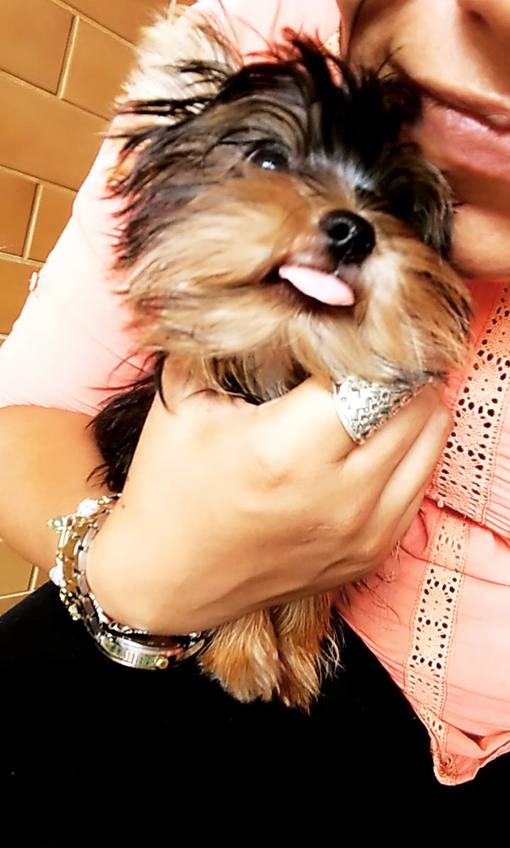 Clinicão Pet Shop e Consultório Médico Veterinário