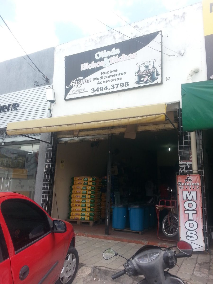 Olinda Bichos e Bichos